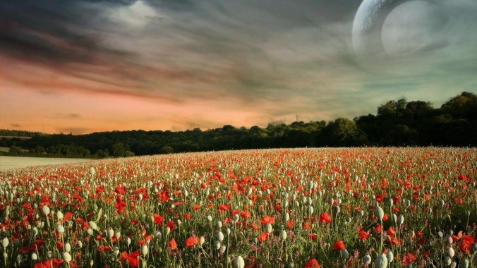 你曾看到空乘做过的最傻的事情是什么？